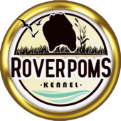 Rover Poms Kennel